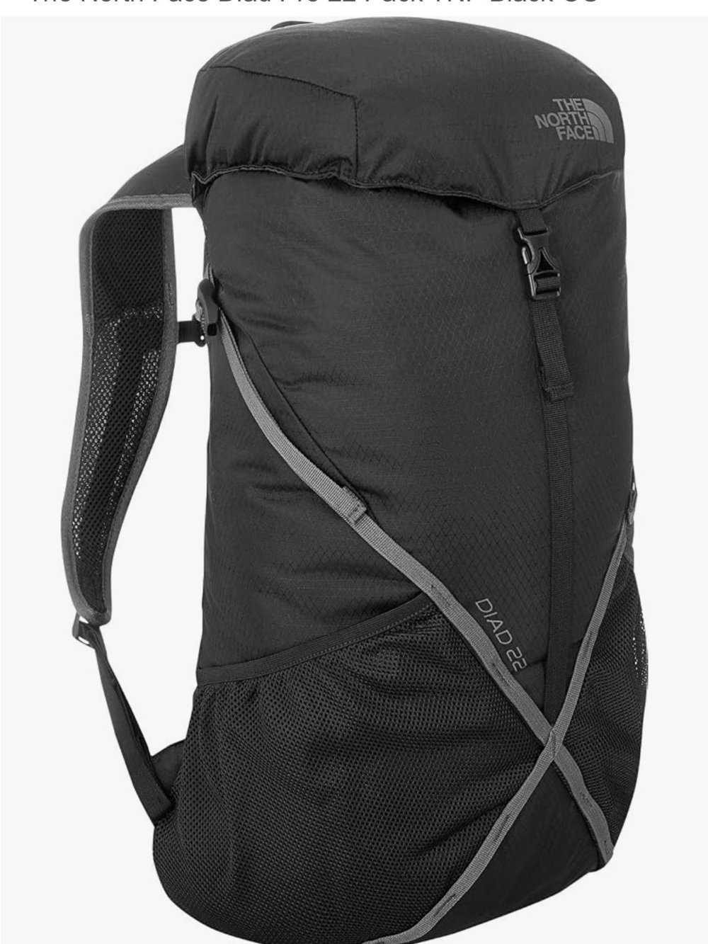 North Face Diad Pro 22 Backpack